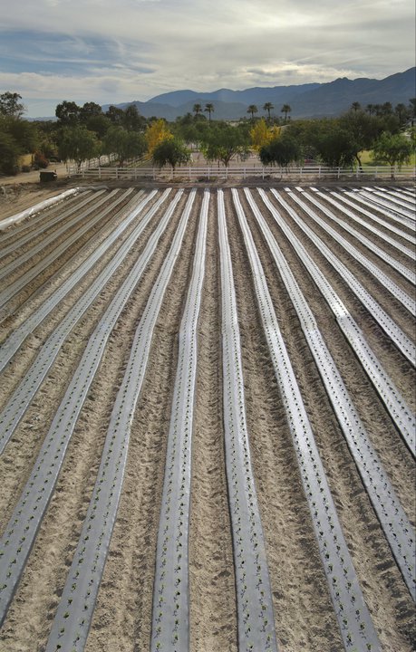 Micro Aerial Projects using a small uav to inspect agricultural plantings