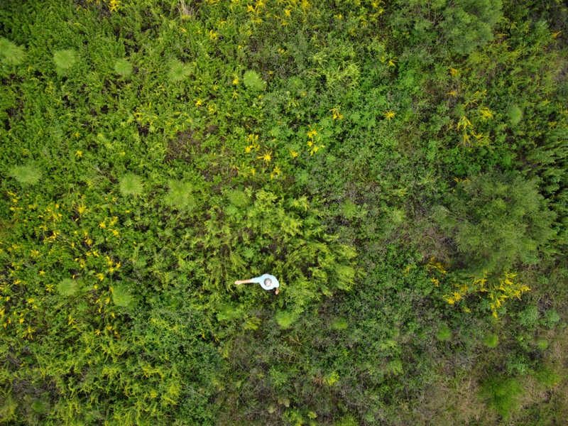 Micro Aerial Projects using small uavs to monitor invasive plant encroachment