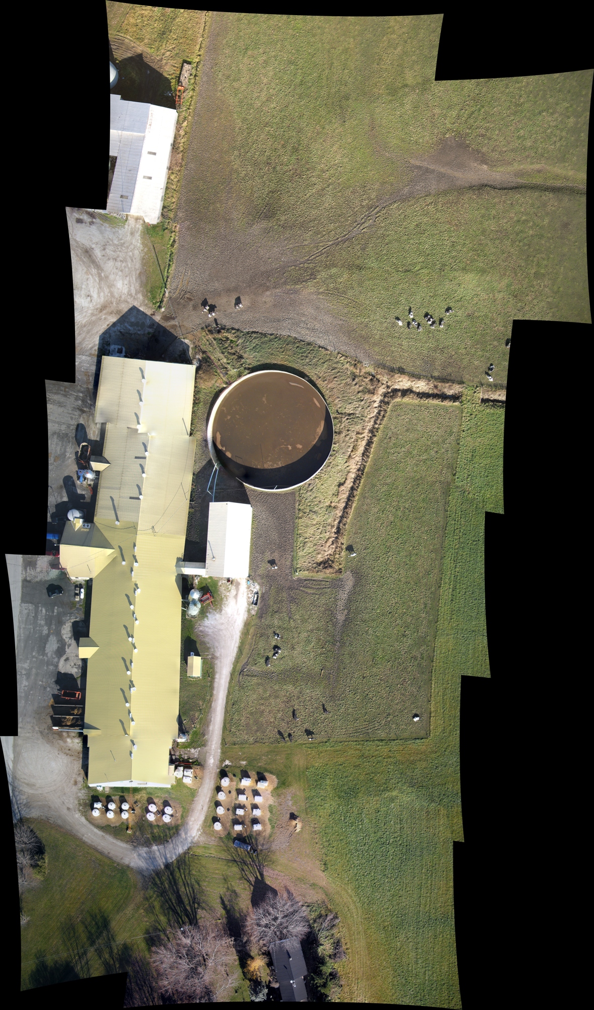 stitched photos of dairy farm