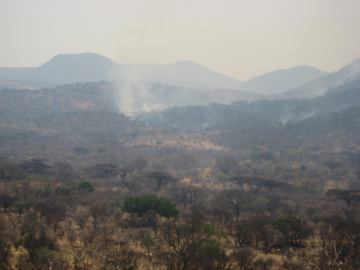 surveying fire