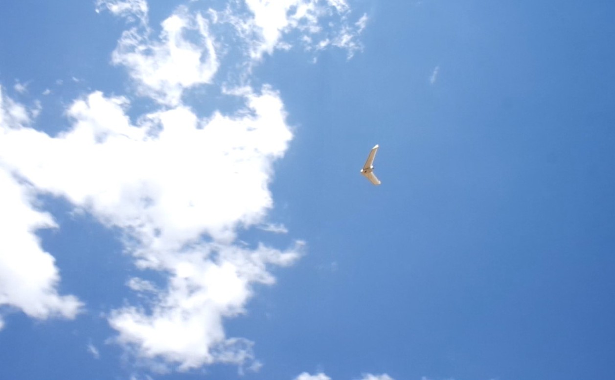 Bateleur UAV in the skies